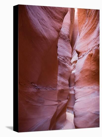 Spooky Gulch, Grand Staircase Escalante National Monument, Utah, USA-Jamie & Judy Wild-Stretched Canvas