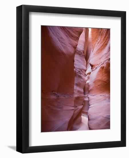 Spooky Gulch, Grand Staircase Escalante National Monument, Utah, USA-Jamie & Judy Wild-Framed Photographic Print