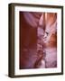 Spooky Gulch, Grand Staircase Escalante National Monument, Utah, USA-Jamie & Judy Wild-Framed Photographic Print