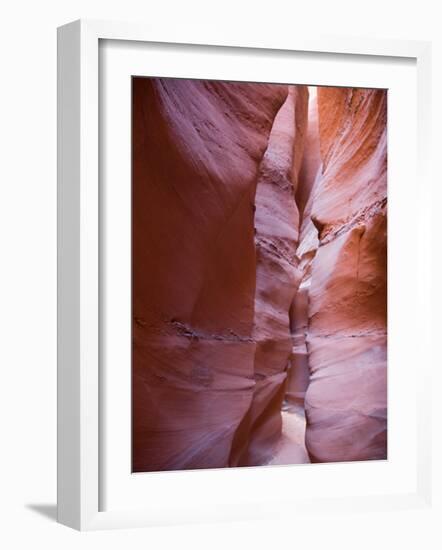 Spooky Gulch, Grand Staircase Escalante National Monument, Utah, USA-Jamie & Judy Wild-Framed Photographic Print