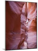 Spooky Gulch, Grand Staircase Escalante National Monument, Utah, USA-Jamie & Judy Wild-Mounted Photographic Print