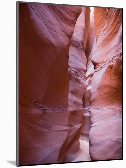 Spooky Gulch, Grand Staircase Escalante National Monument, Utah, USA-Jamie & Judy Wild-Mounted Photographic Print