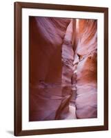 Spooky Gulch, Grand Staircase Escalante National Monument, Utah, USA-Jamie & Judy Wild-Framed Photographic Print