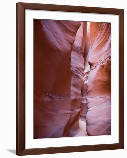 Spooky Gulch, Grand Staircase Escalante National Monument, Utah, USA-Jamie & Judy Wild-Framed Photographic Print