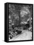 Spooky Snow Scene-null-Framed Stretched Canvas