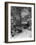 Spooky Snow Scene-null-Framed Photographic Print