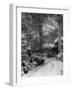 Spooky Snow Scene-null-Framed Photographic Print