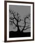 Spooky Tree Joanne Paynter-Joanne Paynter Design-Framed Giclee Print