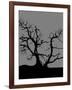 Spooky Tree Joanne Paynter-Joanne Paynter Design-Framed Giclee Print