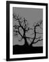 Spooky Tree Joanne Paynter-Joanne Paynter Design-Framed Giclee Print