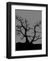 Spooky Tree Joanne Paynter-Joanne Paynter Design-Framed Premium Giclee Print