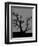 Spooky Tree Joanne Paynter-Joanne Paynter Design-Framed Premium Giclee Print