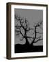 Spooky Tree Joanne Paynter-Joanne Paynter Design-Framed Giclee Print