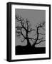 Spooky Tree Joanne Paynter-Joanne Paynter Design-Framed Giclee Print