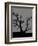 Spooky Tree Joanne Paynter-Joanne Paynter Design-Framed Giclee Print