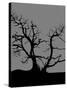 Spooky Tree Joanne Paynter-Joanne Paynter Design-Stretched Canvas