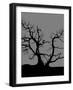 Spooky Tree-Joanne Paynter Design-Framed Giclee Print