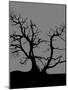 Spooky Tree-Joanne Paynter Design-Mounted Giclee Print