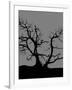 Spooky Tree-Joanne Paynter Design-Framed Giclee Print