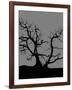 Spooky Tree-Joanne Paynter Design-Framed Giclee Print