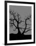 Spooky Tree-Joanne Paynter Design-Framed Giclee Print