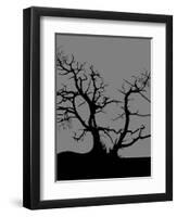 Spooky Tree-Joanne Paynter Design-Framed Premium Giclee Print