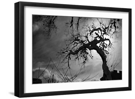 Photo, , large