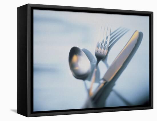 Spoon, Fork and Knife-Walter Pfisterer-Framed Stretched Canvas