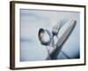 Spoon, Fork and Knife-Walter Pfisterer-Framed Photographic Print