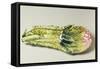 Spoon Rest-null-Framed Stretched Canvas