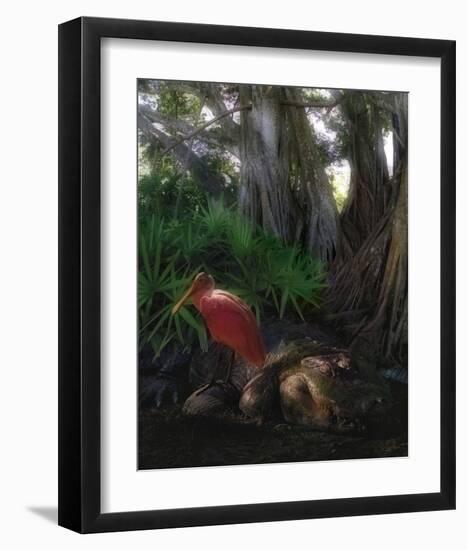 Spoonbill Plight-Steve Hunziker-Framed Art Print