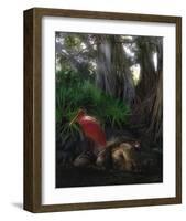 Spoonbill Plight-Steve Hunziker-Framed Art Print