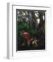 Spoonbill Plight-Steve Hunziker-Framed Art Print