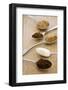 Spoonfuls of Various Sugars-Joy Skipper FoodStyling-Framed Photographic Print