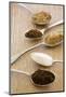 Spoonfuls of Various Sugars-Joy Skipper FoodStyling-Mounted Photographic Print
