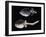 Spoons in Bone from Grave Goods of Tomb in Montetosto Burial Site, Cerveteri, Lazio, Italy-null-Framed Giclee Print