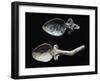 Spoons in Bone from Grave Goods of Tomb in Montetosto Burial Site, Cerveteri, Lazio, Italy-null-Framed Giclee Print