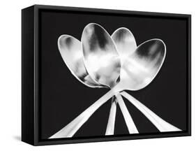 Spoons-Mike Feeley-Framed Stretched Canvas