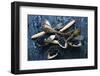 SpoonsaBlueberries-Aleksandrova Karina-Framed Photographic Print