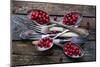 SpoonsaCranberry-Aleksandrova Karina-Mounted Photographic Print