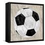 Sport 4-Kimberly Allen-Framed Stretched Canvas