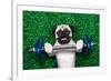 Sport Dog-Javier Brosch-Framed Photographic Print