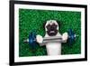 Sport Dog-Javier Brosch-Framed Photographic Print