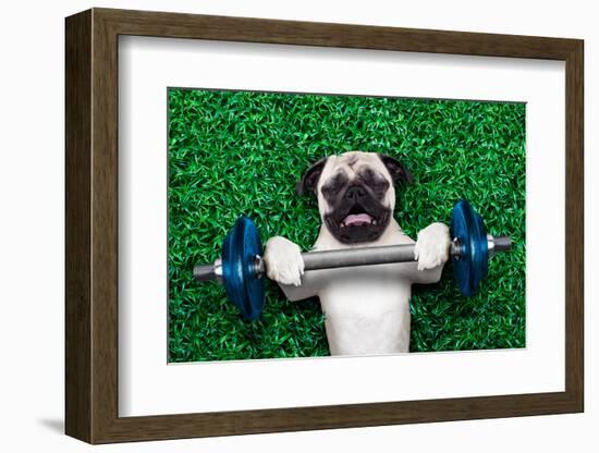 Sport Dog-Javier Brosch-Framed Photographic Print