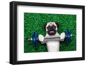 Sport Dog-Javier Brosch-Framed Photographic Print