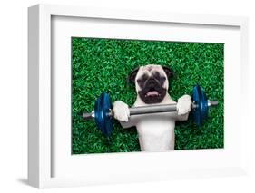 Sport Dog-Javier Brosch-Framed Photographic Print