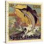 Sport Fishing-Kate Ward Thacker-Stretched Canvas