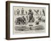 Sport Illustrated by Art at the Grosvenor Gallery-null-Framed Giclee Print