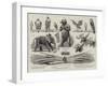 Sport Illustrated by Art at the Grosvenor Gallery-null-Framed Giclee Print