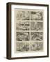 Sport in British Columbia-Alfred Chantrey Corbould-Framed Giclee Print